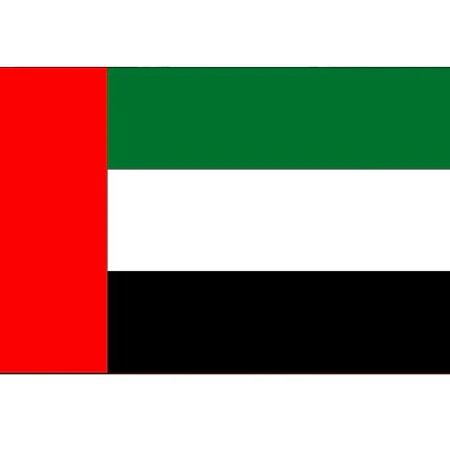 United Arab Emirates consolidation service (tax included, fixed price)