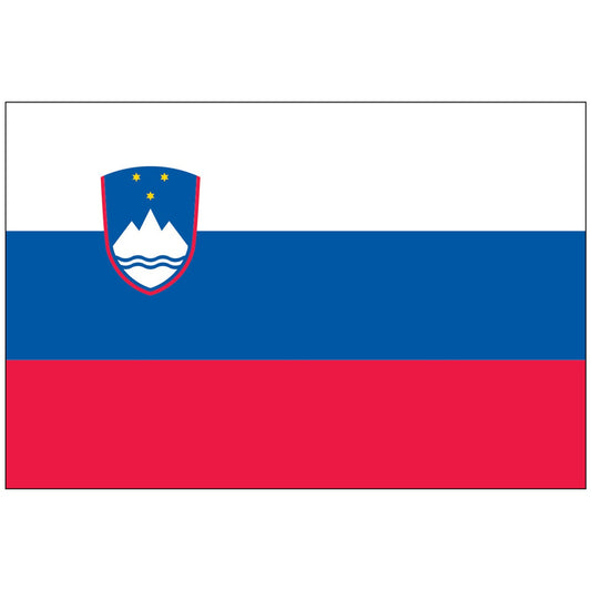 Slovenia consolidation service (tax included, fixed price)